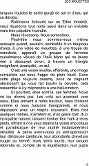Les mouettes2 (4)